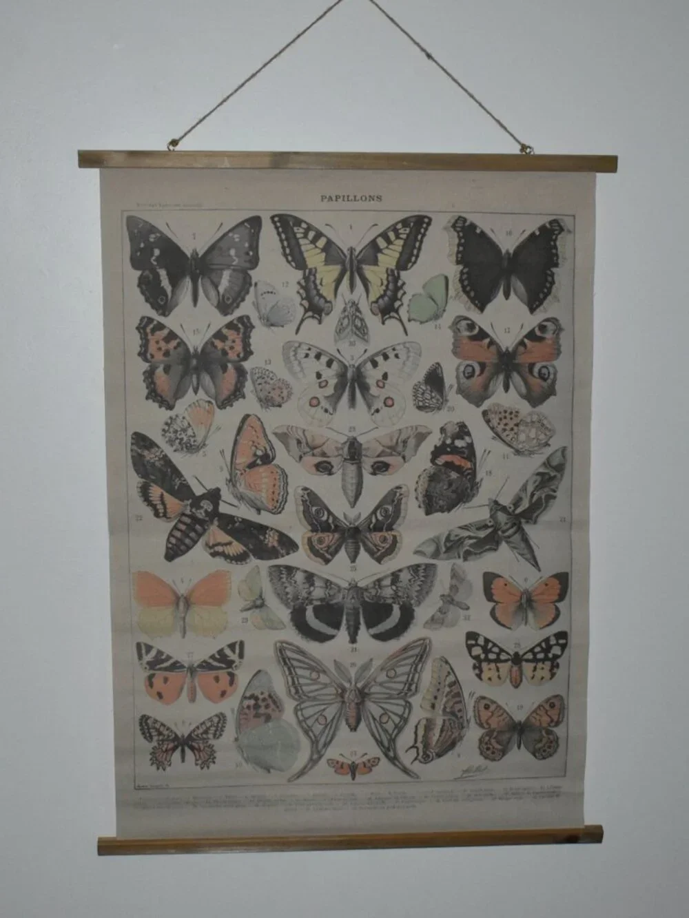 Butterfly Moth Large Linen Canvas Scroll Tapestry Boho Cottagecore Wall Decor